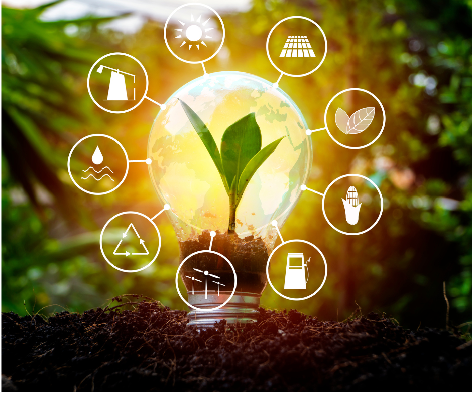 Sustainable Real Estate: How Edmonton Realtors Can Help Buyers Go Green
